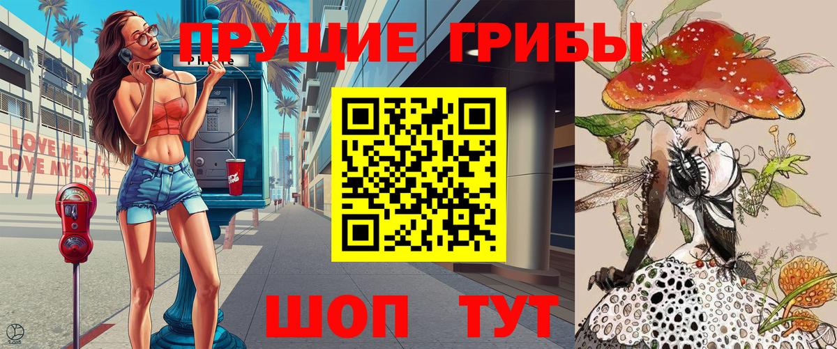 Псилоцибиновые грибы GOLDEN TEACHER  Псилоцибиновые грибы мухоморы  где можно купить наркотик  Вход с VPN  Кудымкар 